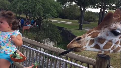 Cute funny kids in the zoo. With a giraffe