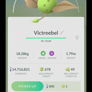 Pokémon GO-Evolving Shiny Weepinbell