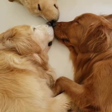 What’s going on here? any idea?