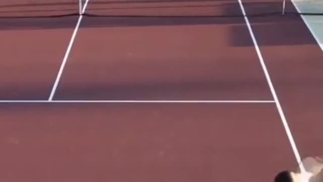 Whatdoyoucallthisshot#tennis#collegetennis#trickshot