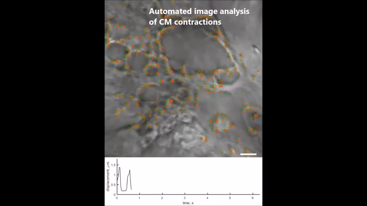 Graphene biointerfaces for optical stimulation of cells