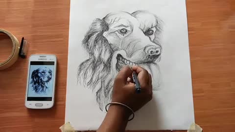 Sketch/Drawing of a Dog's Face Animal Sketch