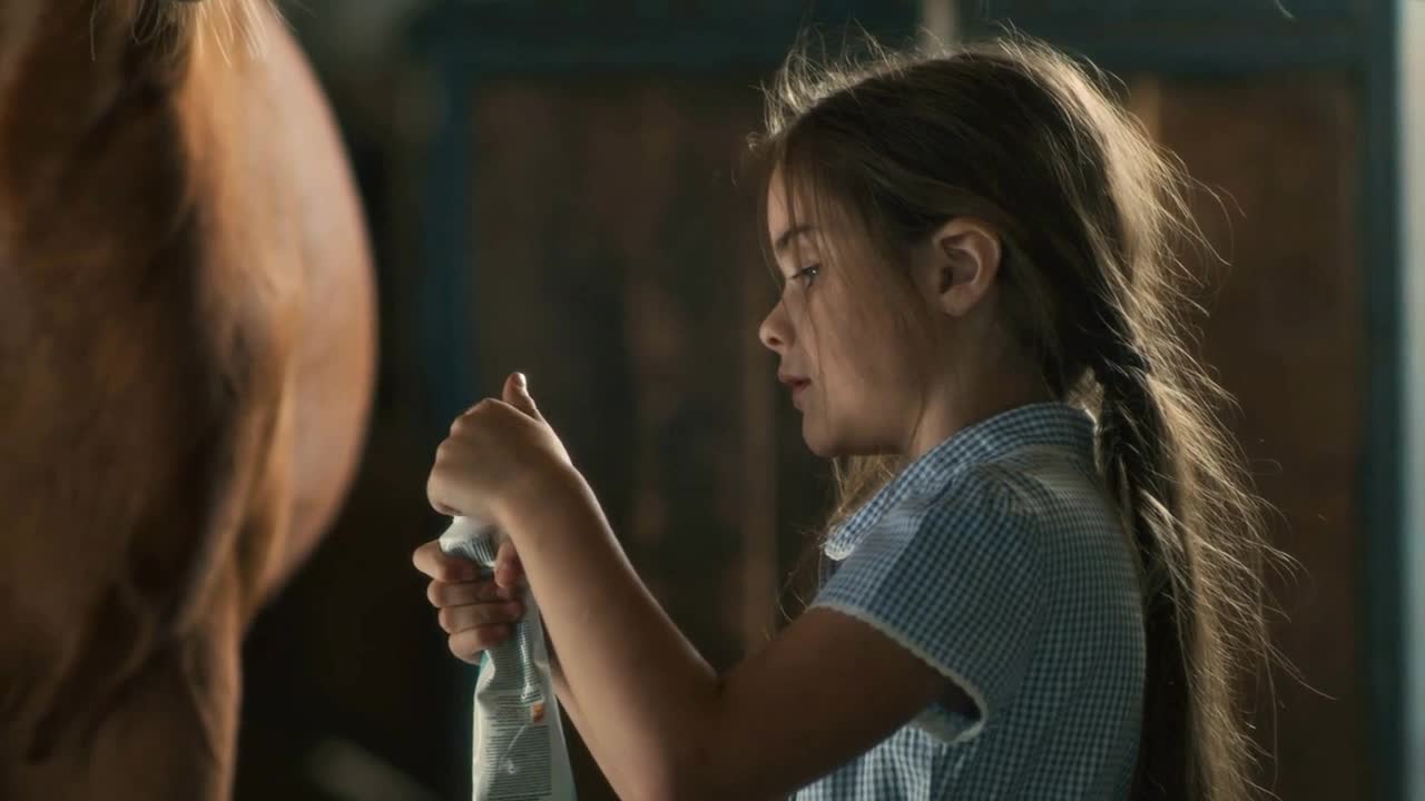 Tilt up view of little girl applying cream on muzzle of chestnut horse