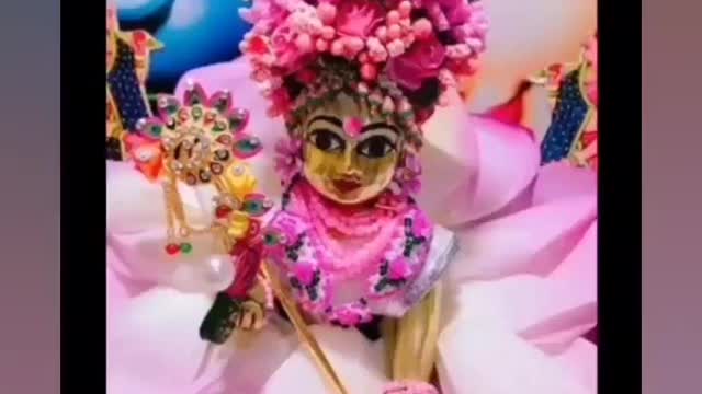 Radhe krishna beautiful video❤❤