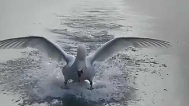 Wait For It