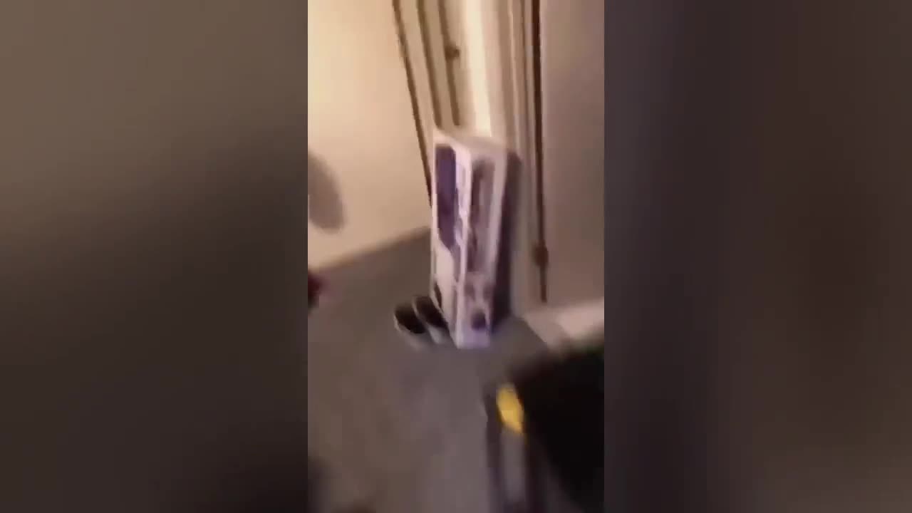 funny videos
