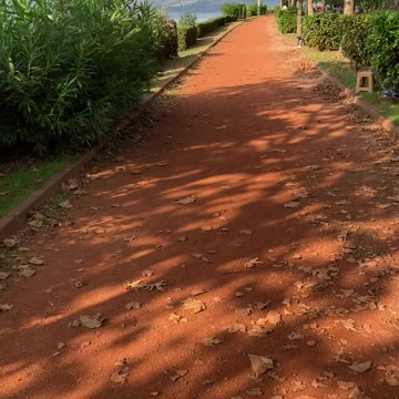 Beautiful Walkway beside a River