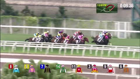 Horse_Race_2022052204_English