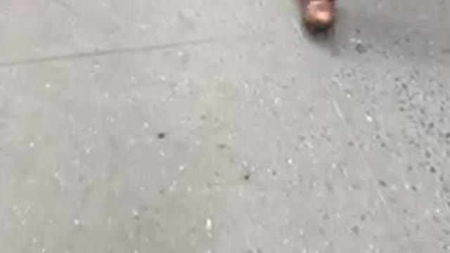 Man drags a milk crate with a string down the sidewalk