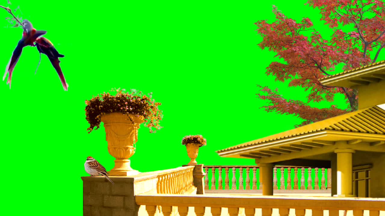 beautiful house with Bird green screen HD video