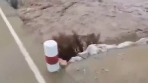 Deadliest Flash Floods Caught On Camera