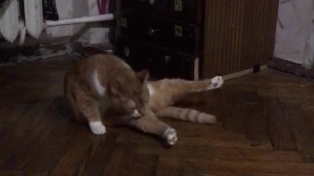 comfortable position 😄