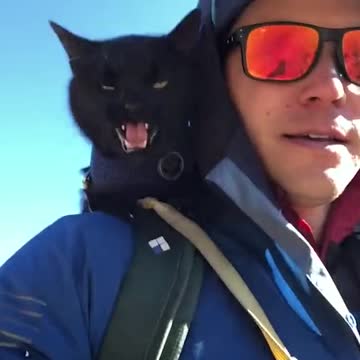 Memories with my cat make me cry