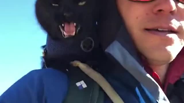 Memories with my cat make me cry