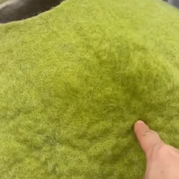 Animal Funny video |Tamil what'sapp Status|Cartoon What's app Status|Tamil commedy Status