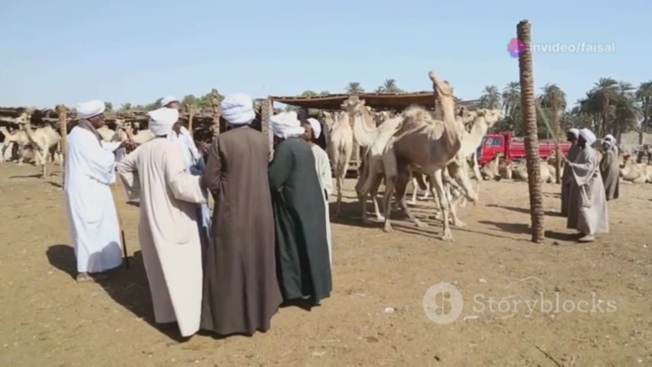 Tapestry of Peace: Exploring Arabia