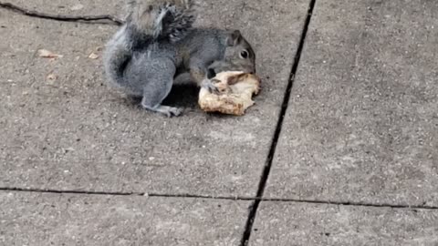 I'm Hungry