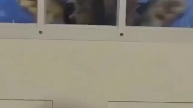 Hey it's cold out here. Let me inside!