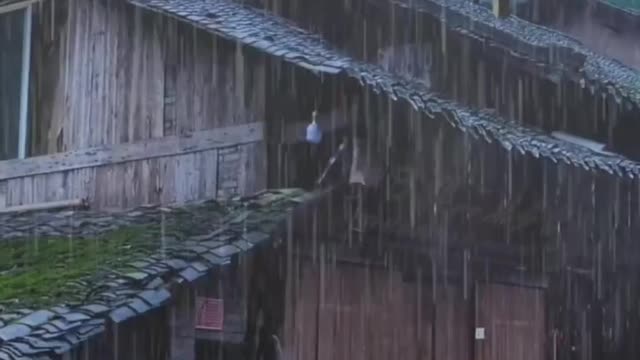Nature Video