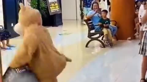 Funny Panda ll Panda Video l Funny panda video ll cute Panda #shorts #panda #funny #tiktok #animals