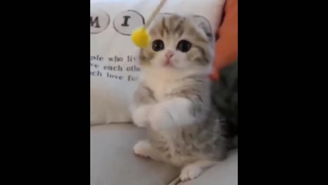 Cutest baby animals of 2022, Putin hates baby animals #3