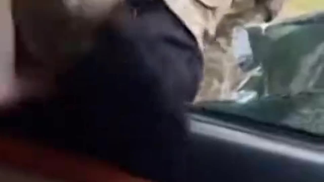 Force mobilization in Kharkov: a TCC employee broke a car window and pulled a man out of it.