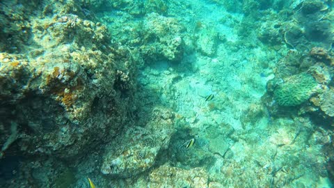 Swimming to Blue Cave