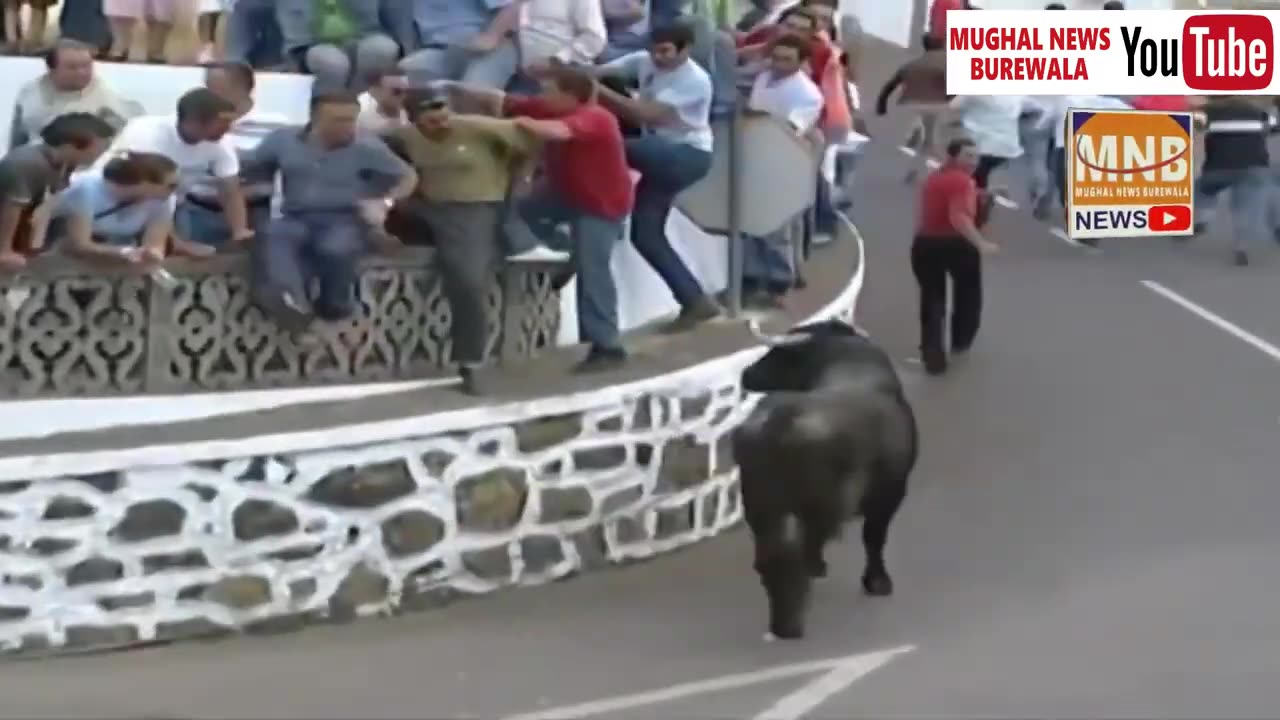 Dangerous Bull Fight accidents - Lucky and Funny people