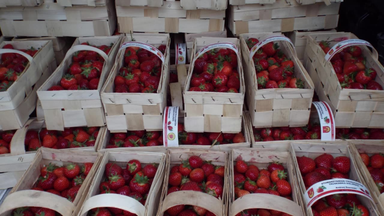 Strawberry Festival