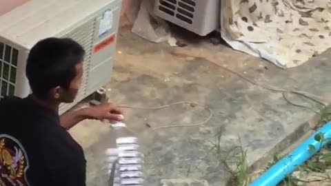 Man Coaxes Cobra into Bottle