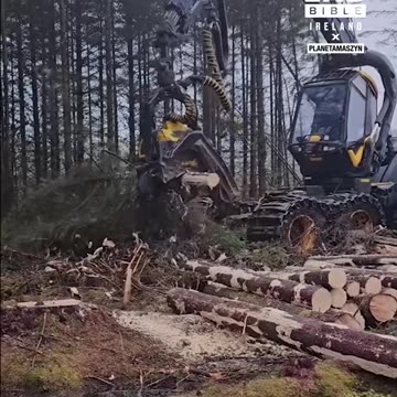 Speedy automatic tree removal