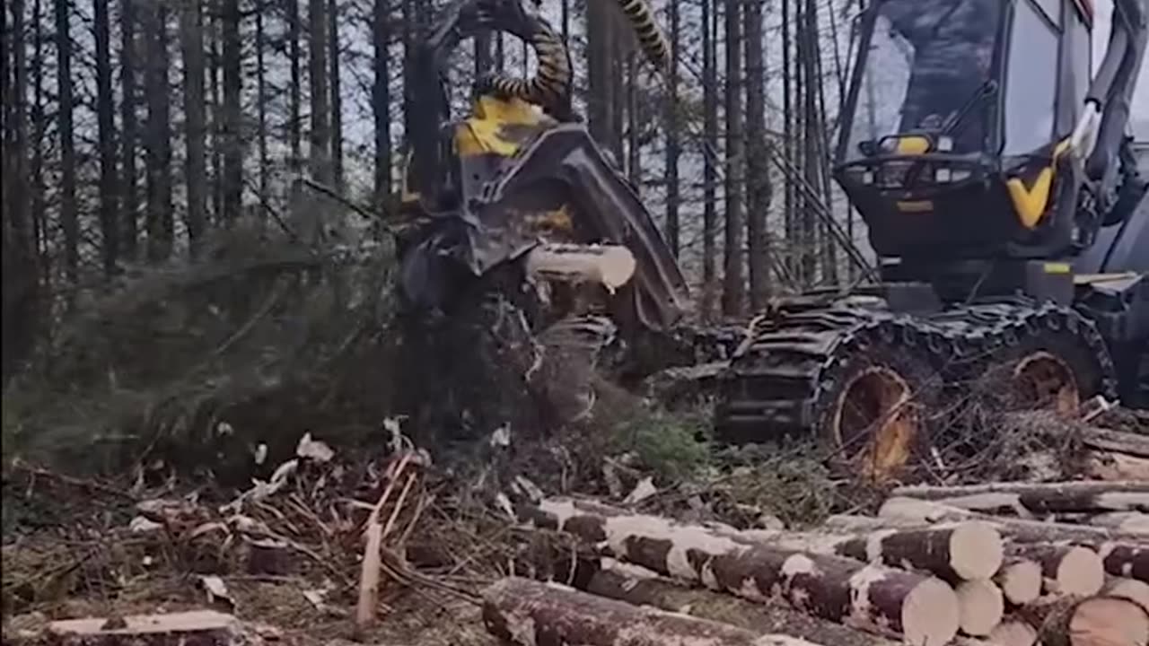 Speedy automatic tree removal