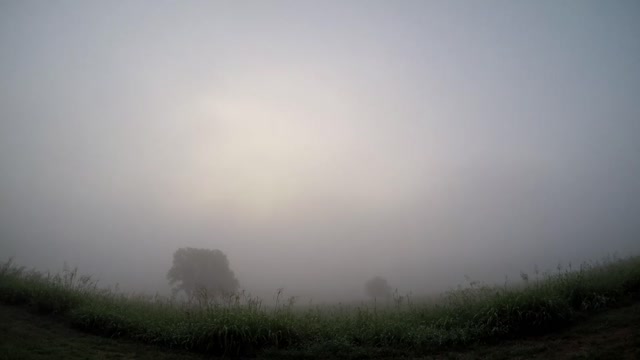 Sun Rise Fog 8 18 22 61f.16c