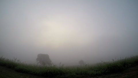 Sun Rise Fog 8 18 22 61f.16c