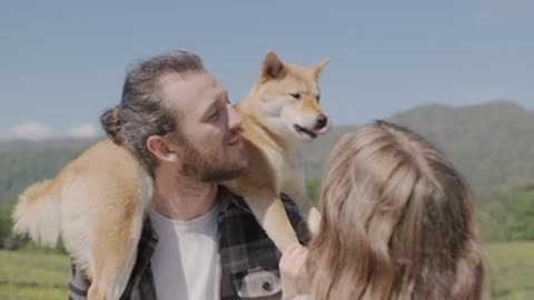 What greater gift than love of a Dog - Cute dog showing love to owner videos