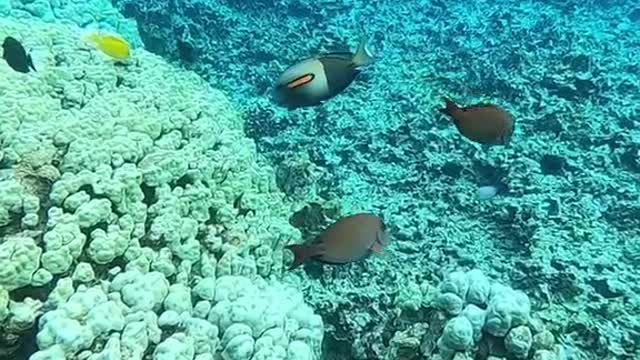 I’mmissingthisplacelately,hopetobebacksoon!#oceanlover
