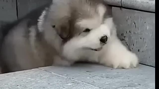 Don't the
