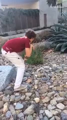 Guy in red sneaking up on an animal