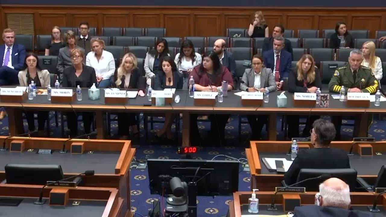 These witnesses are absolutely tearing the democrats apart! Veronica Escobar ...