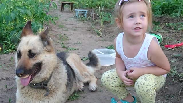Little girl cute communicates with her dog
