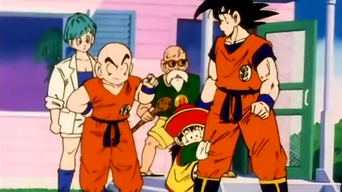 Goku firstly meet his brother