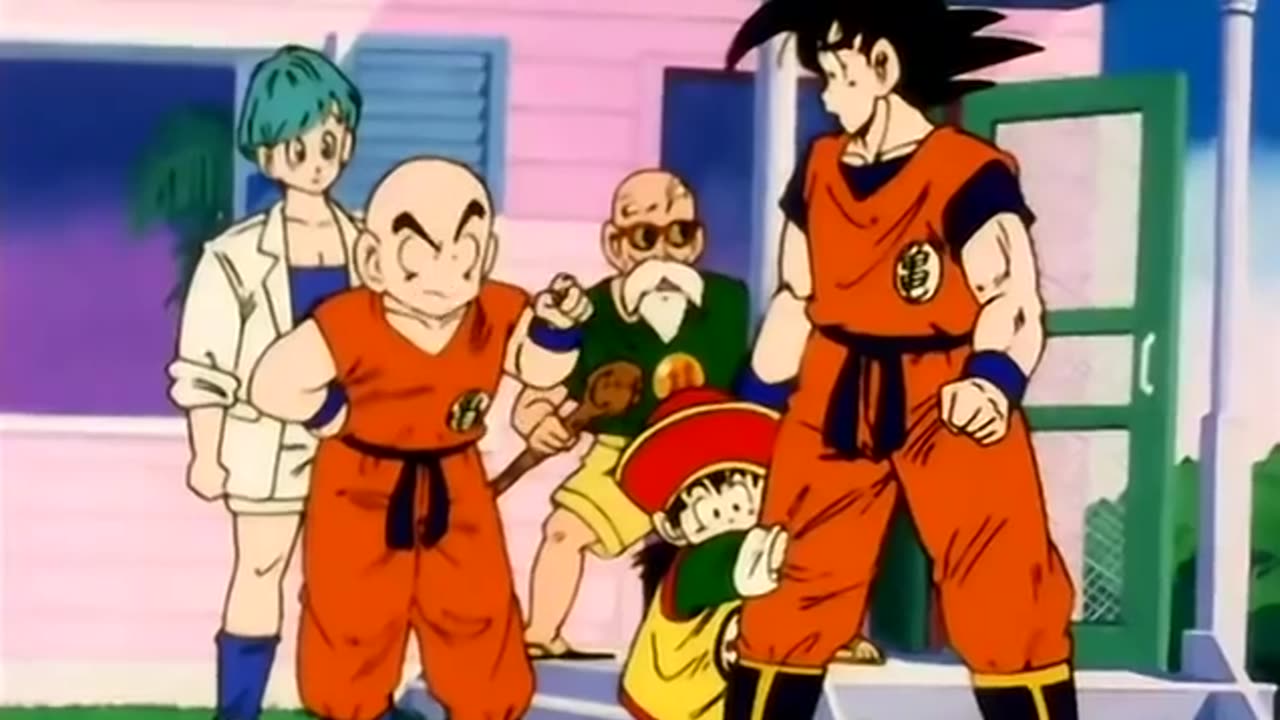 Goku firstly meet his brother