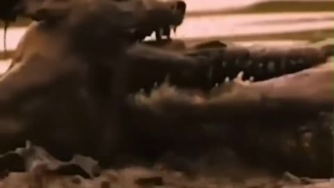 AMazing moment