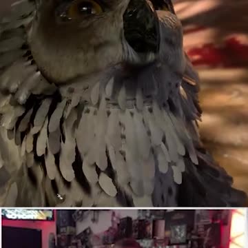 Owlbear Cub is nasty!