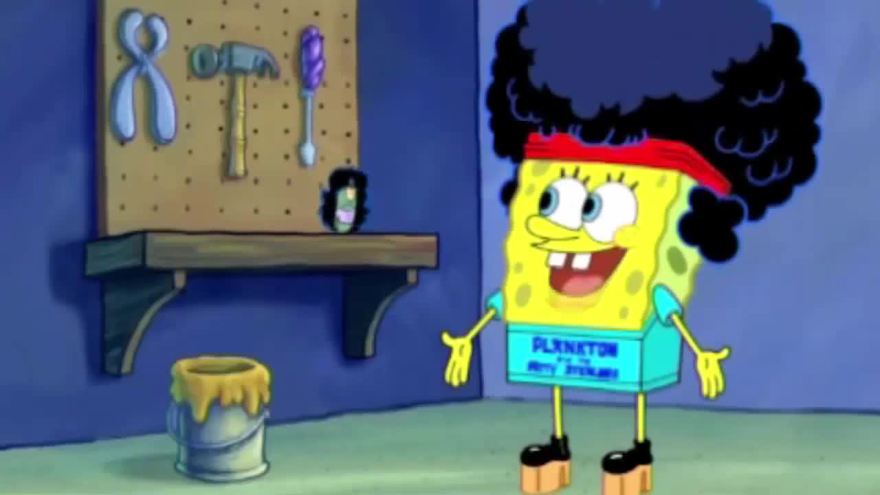 H E Y P L A N K T O N