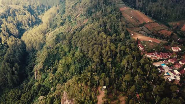 Beautiful Forest with a village beside in the view of a bird