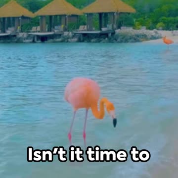 Top 5 Interesting Facts About Barbuda