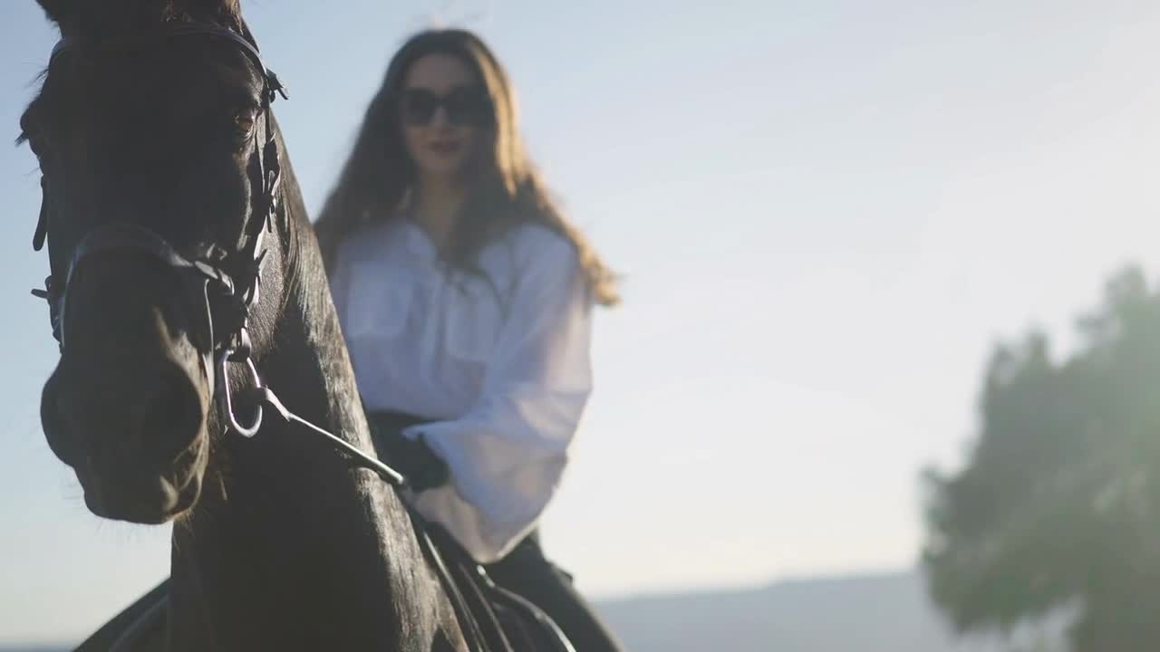 Close-up head of brown horse in sunrays with blurred woman sitting on back