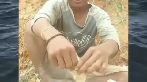 Funny videos 😂