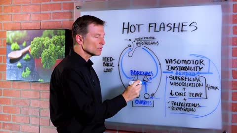 DrBerg-Hot Flashes--Causes, Signs, Remedies